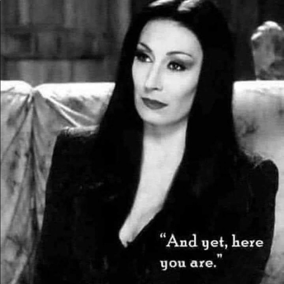 Meet your Posher, Adira - Picture 1 of 1